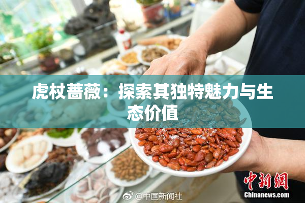 虎杖蔷薇：探索其独特魅力与生态价值
