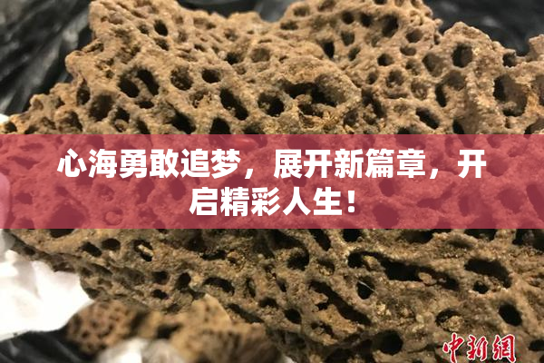 心海勇敢追梦，展开新篇章，开启精彩人生！