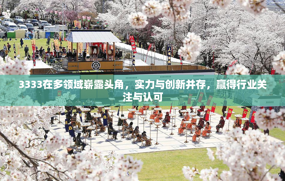 3333在多领域崭露头角，实力与创新并存，赢得行业关注与认可