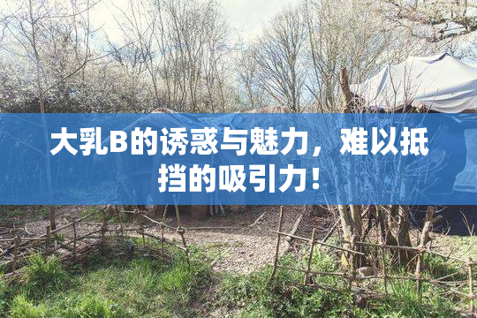 大乳B的诱惑与魅力，难以抵挡的吸引力！