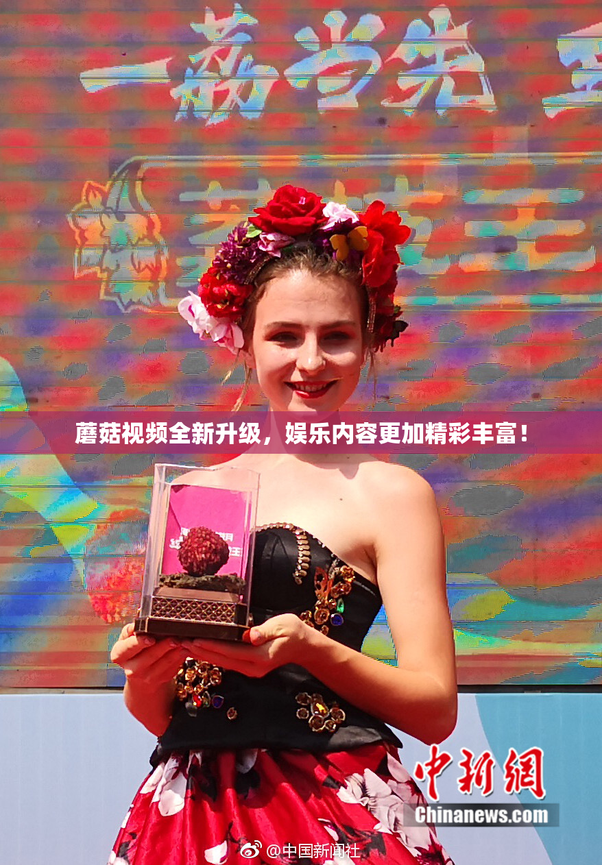 蘑菇视频全新升级，娱乐内容更加精彩丰富！