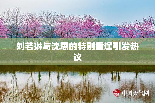 刘若琳与沈思的特别重逢引发热议