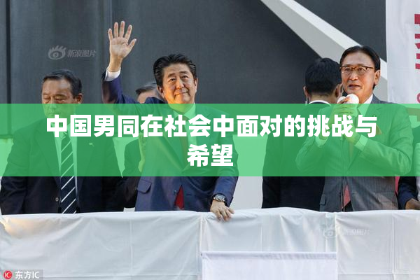 中国男同在社会中面对的挑战与希望