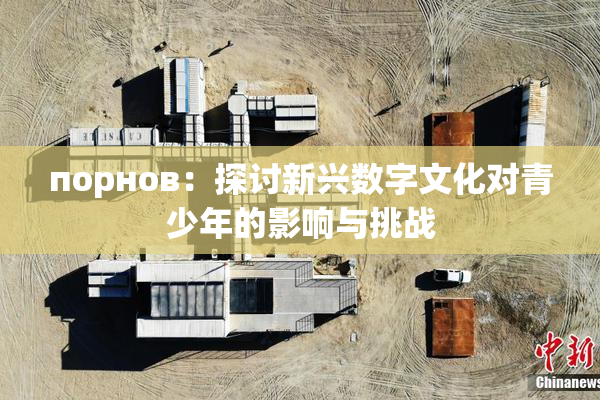порнов：探讨新兴数字文化对青少年的影响与挑战