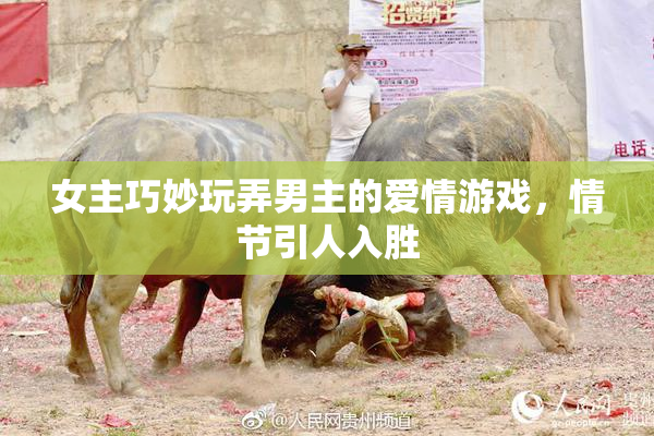 女主巧妙玩弄男主的爱情游戏，情节引人入胜