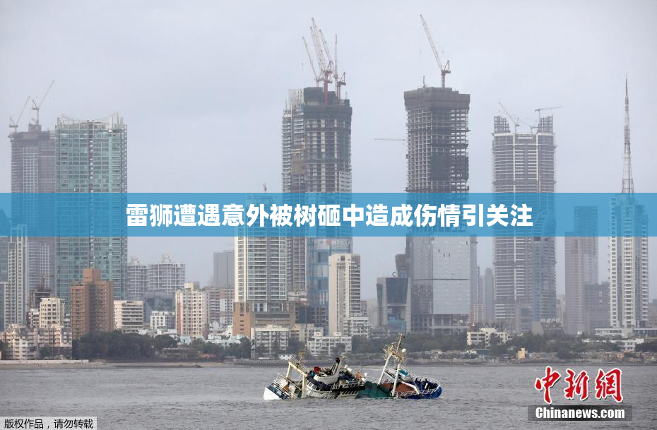 雷狮遭遇意外被树砸中造成伤情引关注