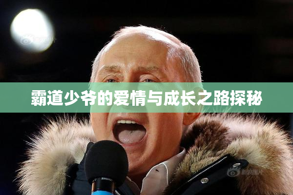 霸道少爷的爱情与成长之路探秘