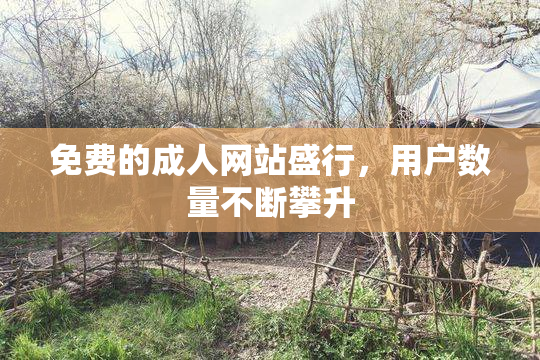 免费的成人网站盛行，用户数量不断攀升