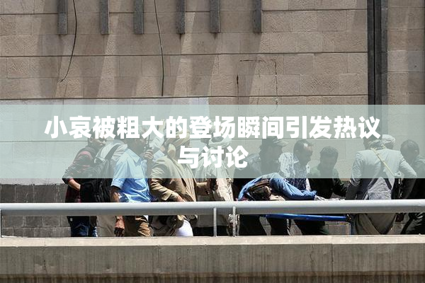 小哀被粗大的登场瞬间引发热议与讨论