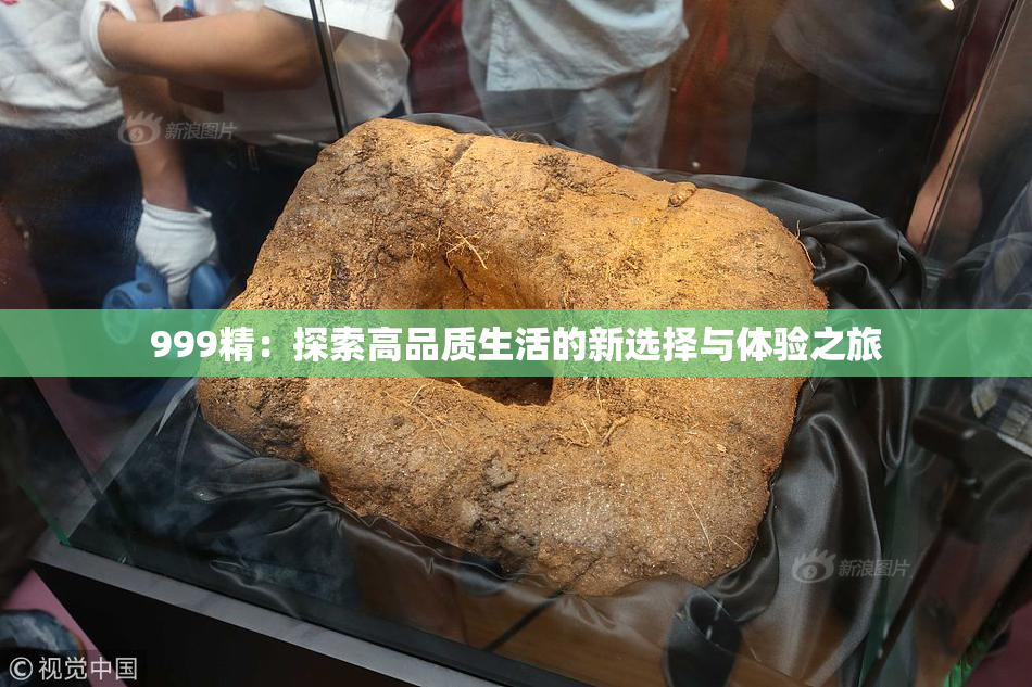 999精：探索高品质生活的新选择与体验之旅