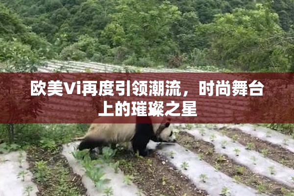 欧美Vi再度引领潮流，时尚舞台上的璀璨之星