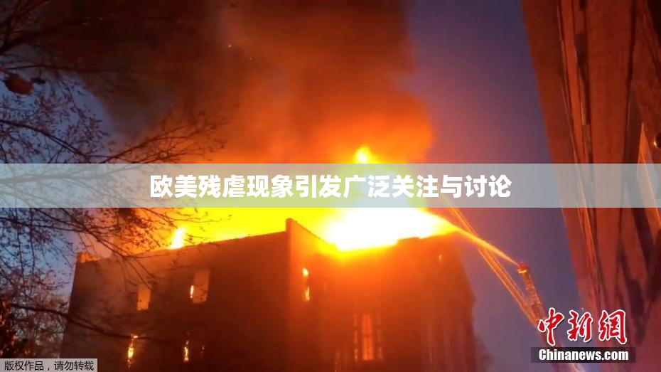 欧美残虐现象引发广泛关注与讨论