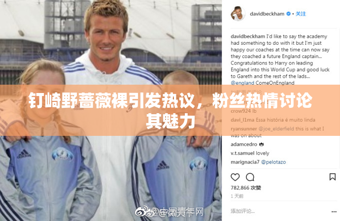 钉崎野蔷薇裸引发热议，粉丝热情讨论其魅力
