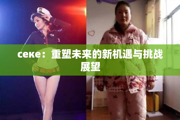 ceке：重塑未来的新机遇与挑战展望