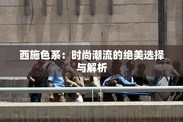 西施色系：时尚潮流的绝美选择与解析