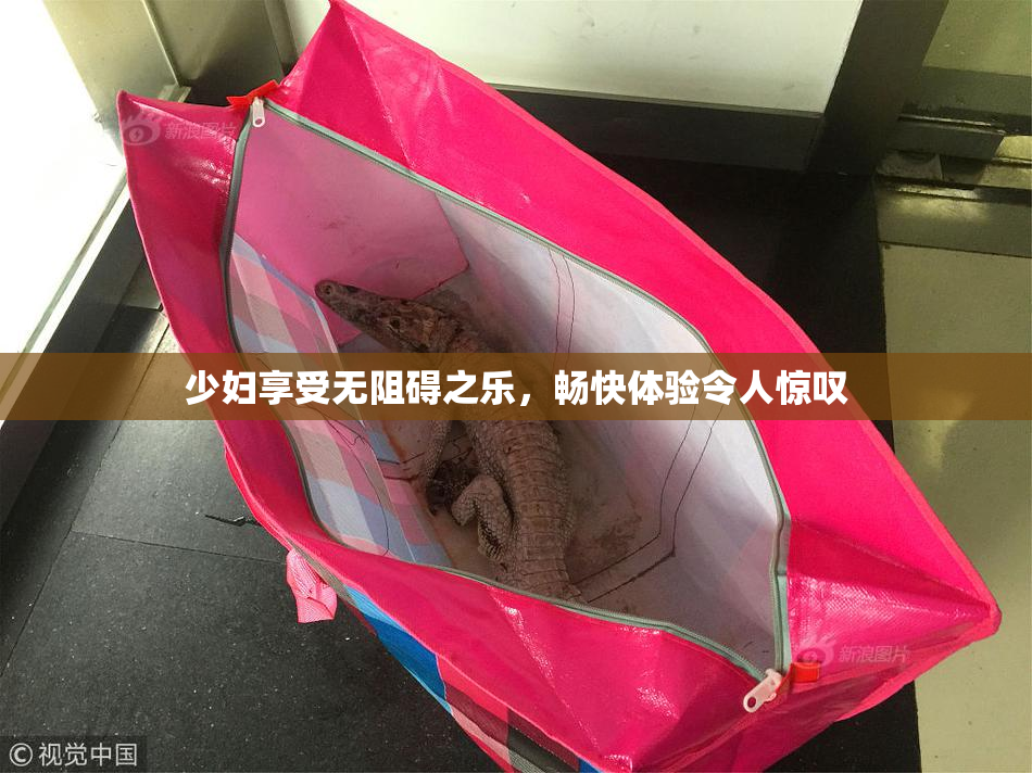 少妇享受无阻碍之乐，畅快体验令人惊叹