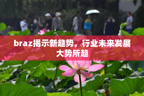 braz揭示新趋势，行业未来发展大势所趋