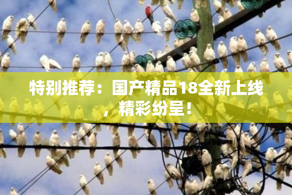 特别推荐：国产精品18全新上线，精彩纷呈！