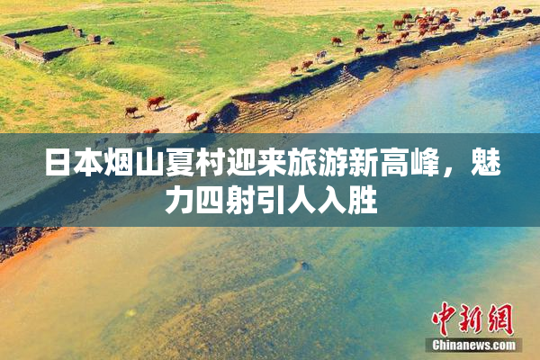 日本烟山夏村迎来旅游新高峰，魅力四射引人入胜