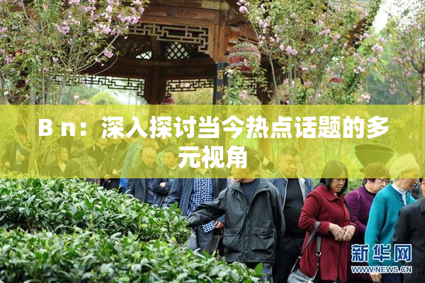 B n：深入探讨当今热点话题的多元视角