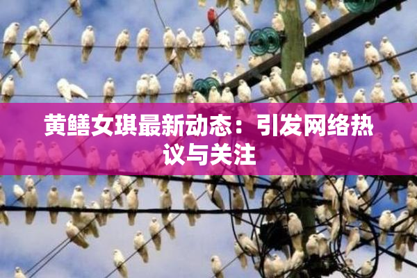 黄鳝女琪最新动态：引发网络热议与关注
