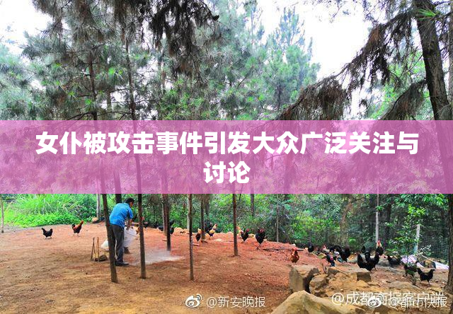 女仆被攻击事件引发大众广泛关注与讨论