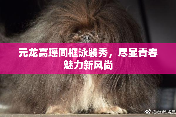 元龙高瑶同框泳装秀，尽显青春魅力新风尚