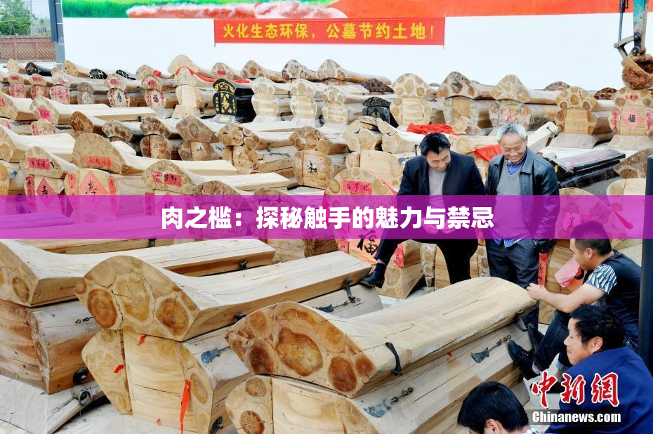 肉之槛：探秘触手的魅力与禁忌