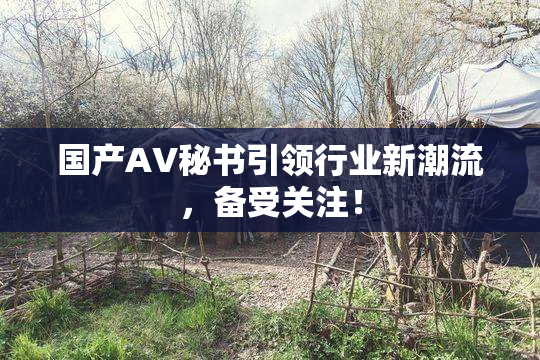 国产AV秘书引领行业新潮流，备受关注！
