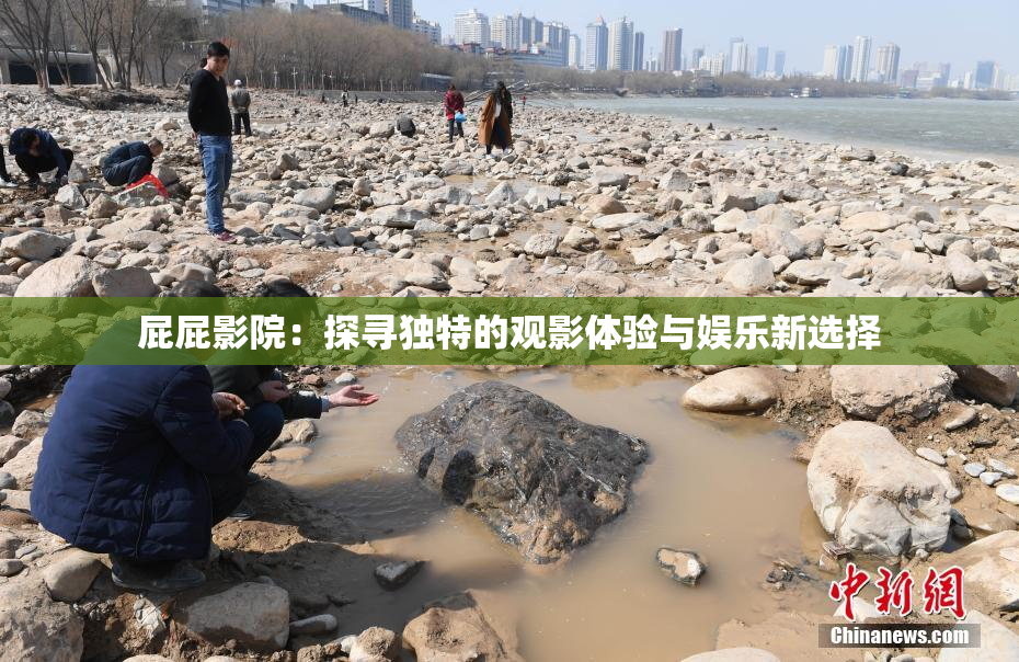 屁屁影院：探寻独特的观影体验与娱乐新选择