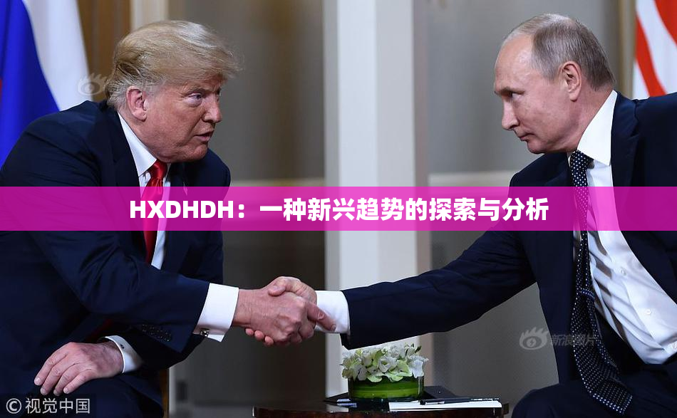 HXDHDH：一种新兴趋势的探索与分析