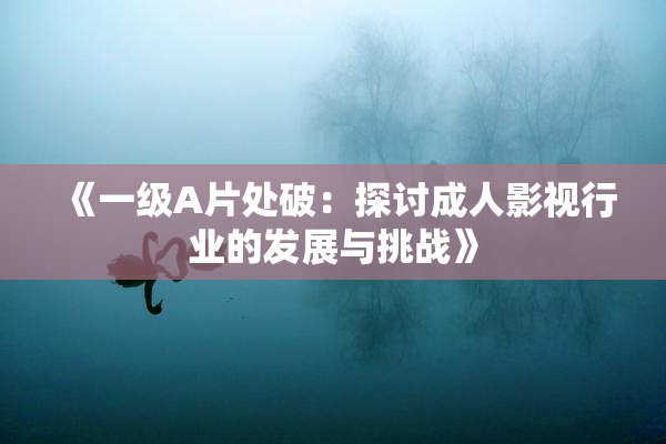《一级A片处破：探讨成人影视行业的发展与挑战》
