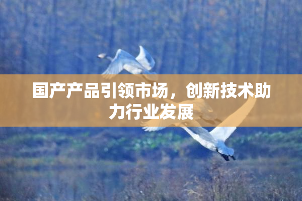 国产产品引领市场，创新技术助力行业发展