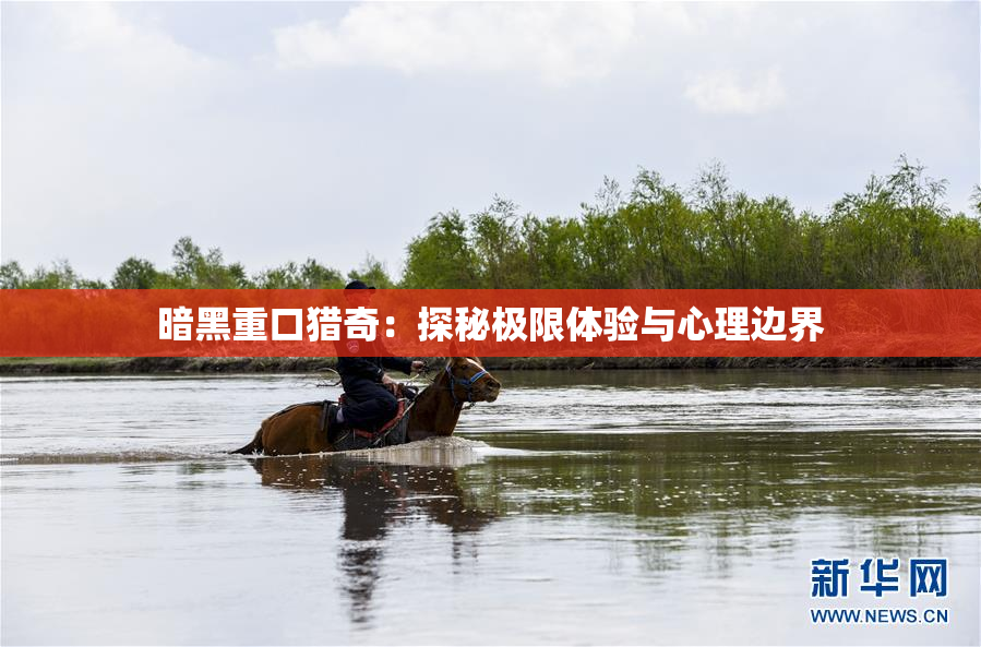 暗黑重口猎奇：探秘极限体验与心理边界
