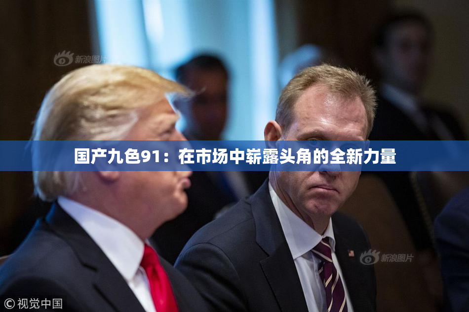国产九色91：在市场中崭露头角的全新力量