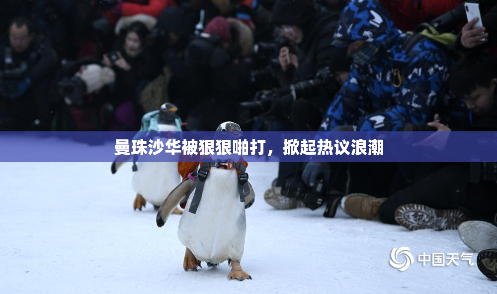 曼珠沙华被狠狠啪打，掀起热议浪潮