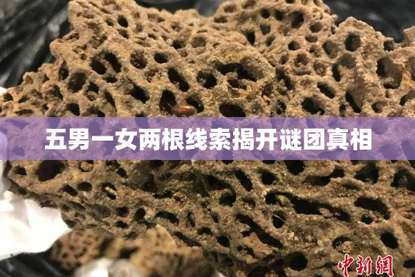五男一女两根线索揭开谜团真相