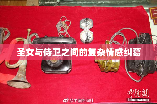 圣女与侍卫之间的复杂情感纠葛