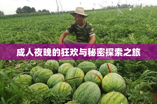 成人夜晚的狂欢与秘密探索之旅
