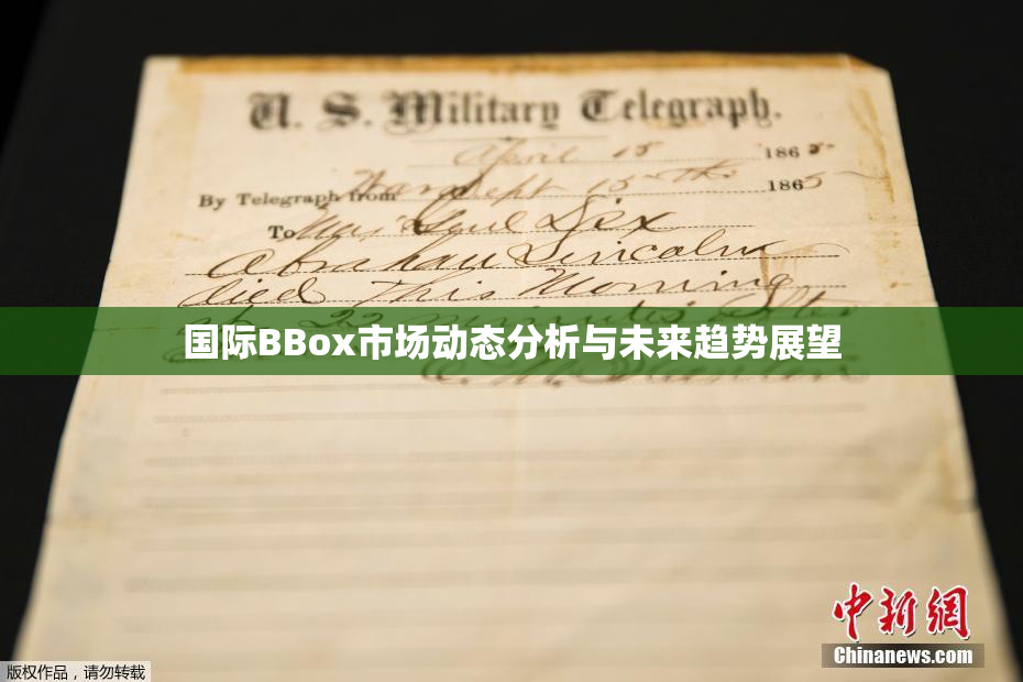 国际BBox市场动态分析与未来趋势展望