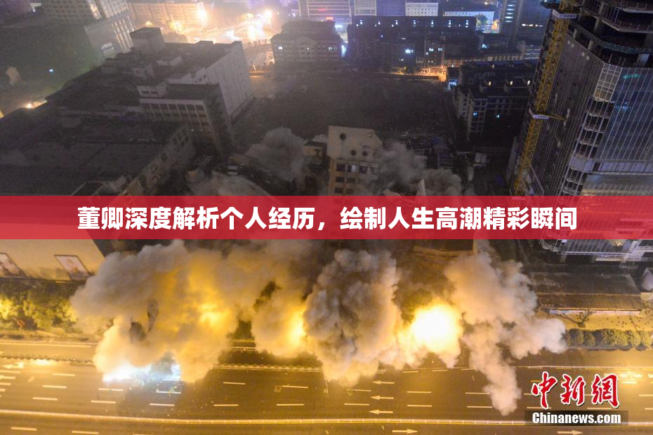 董卿深度解析个人经历，绘制人生高潮精彩瞬间