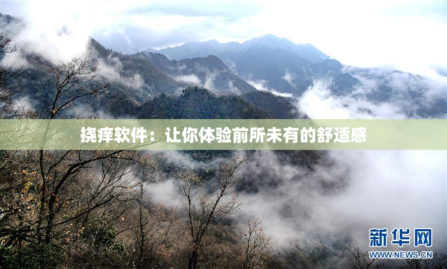 挠痒软件：让你体验前所未有的舒适感