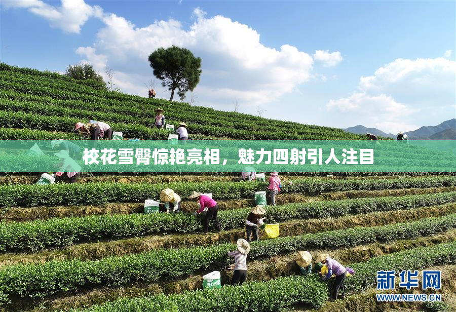 校花雪臀惊艳亮相，魅力四射引人注目