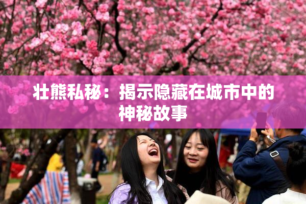 壮熊私秘：揭示隐藏在城市中的神秘故事