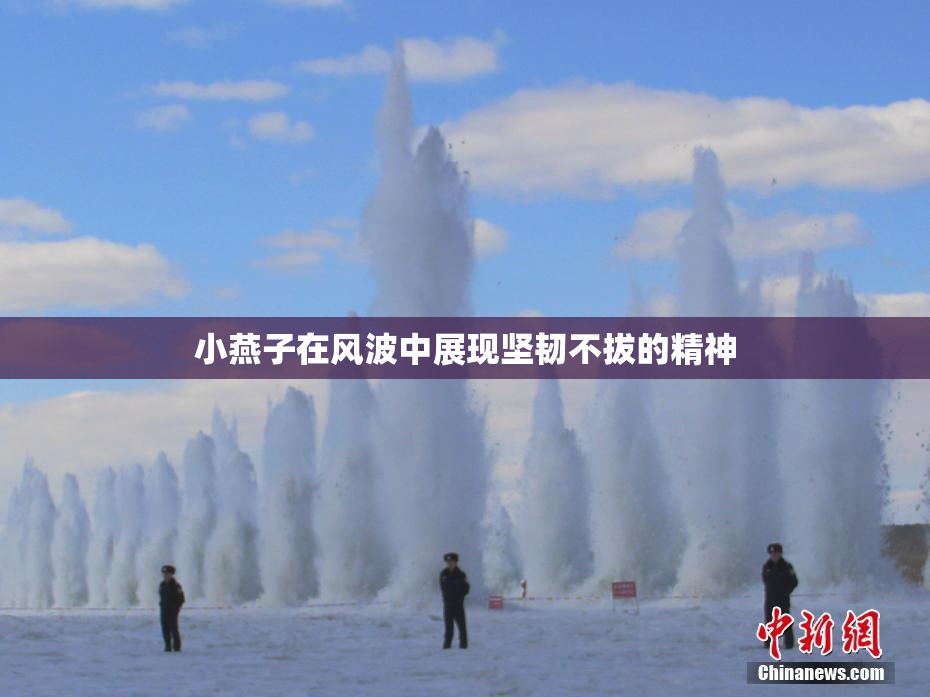 小燕子在风波中展现坚韧不拔的精神