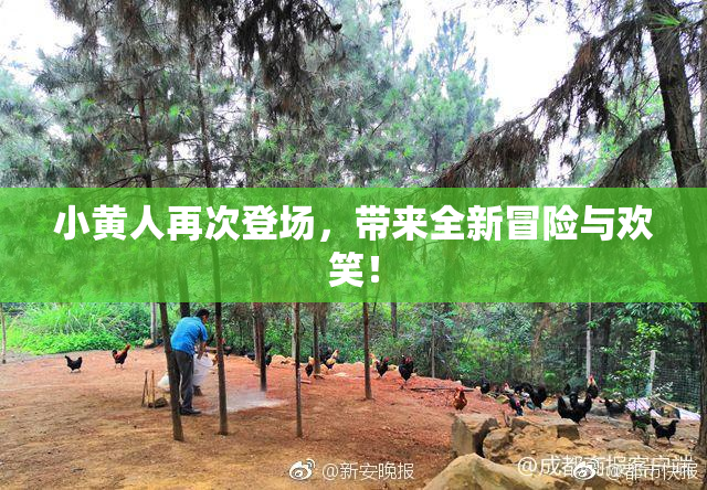 小黄人再次登场，带来全新冒险与欢笑！