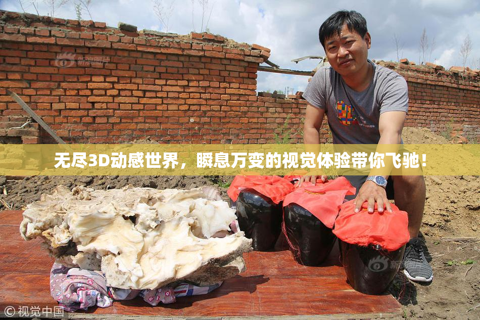 无尽3D动感世界，瞬息万变的视觉体验带你飞驰！