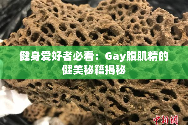 健身爱好者必看：Gay腹肌精的健美秘籍揭秘