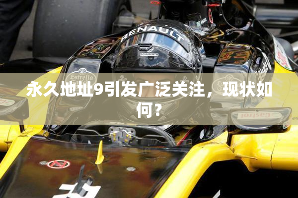 永久地址9引发广泛关注，现状如何？