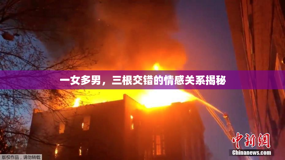 一女多男，三根交错的情感关系揭秘